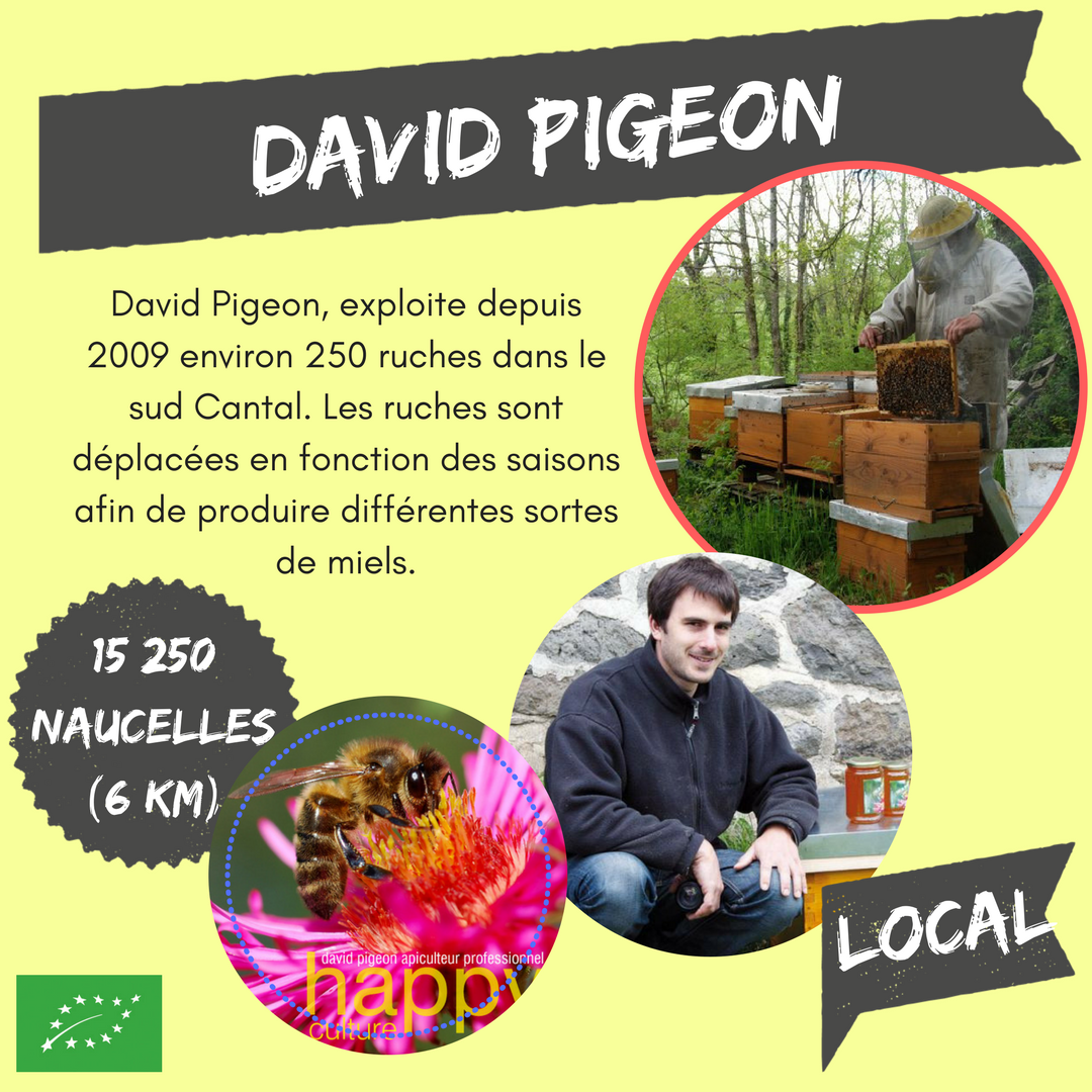 David Pigeon David Pigeon