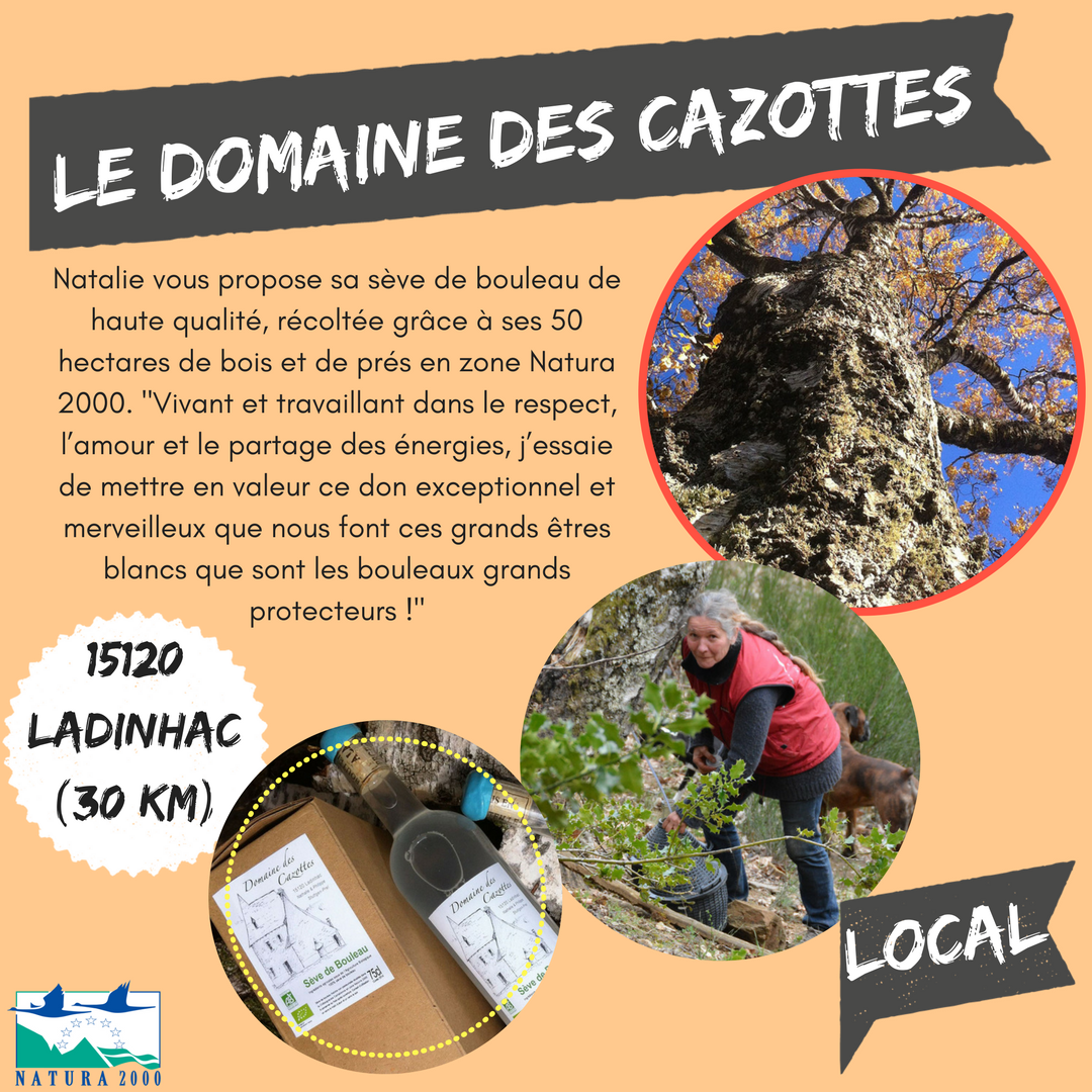 Le Domaine des Cazottes Le Domaine des Cazottes
