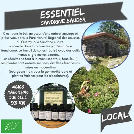 Essentiel - Sandrine Bauder
