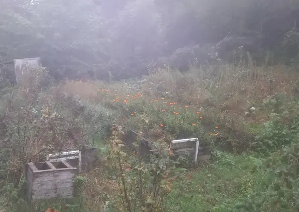 Les jardins du Mars