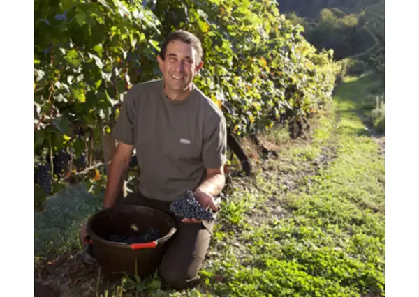 Domaine Mousset