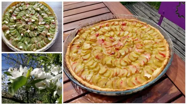 Tarte à la rubarbe